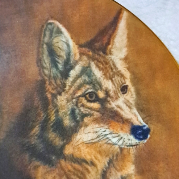 Vintage 1978 Sioux boy & Wolf pup Collectors 8" Plate - Picture 3 of 4